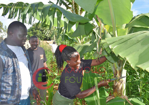 Livelihoods and Economic Empowerment